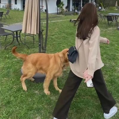 钢铁少女团海报