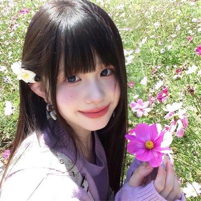 菊石海报